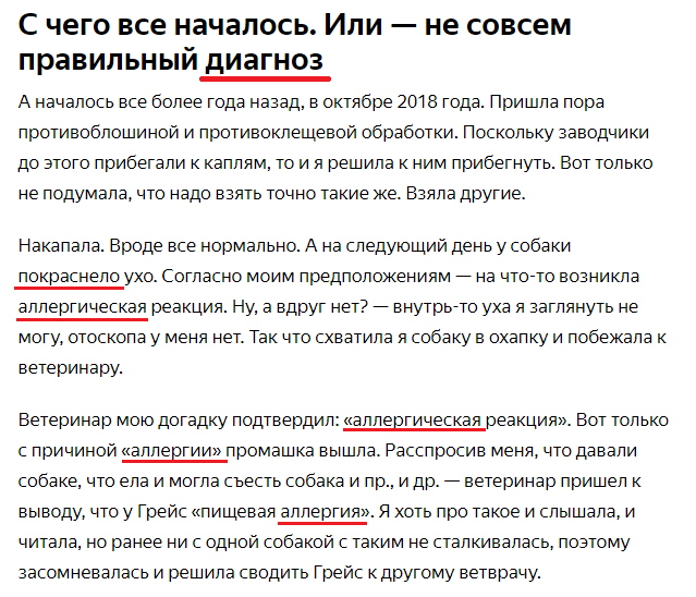 Шокирующий контент - какие слова не любит Яндекс.Дзен